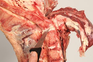 Meat Cut Spec Step 10